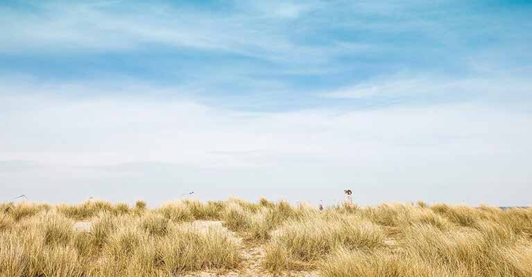 English Danish - Photo Landscape